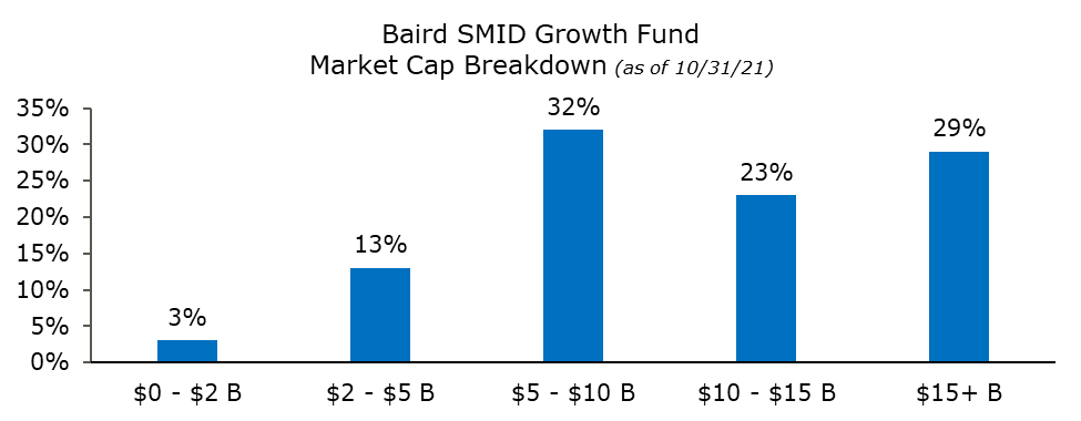 market-cap-breakdown_asof-10312021.png