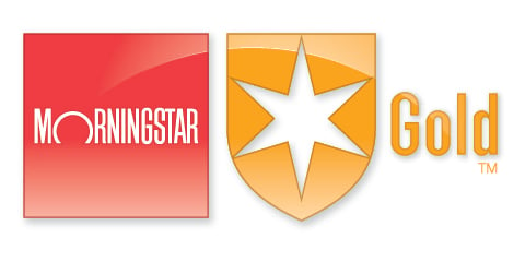 Morningstar Gold logo